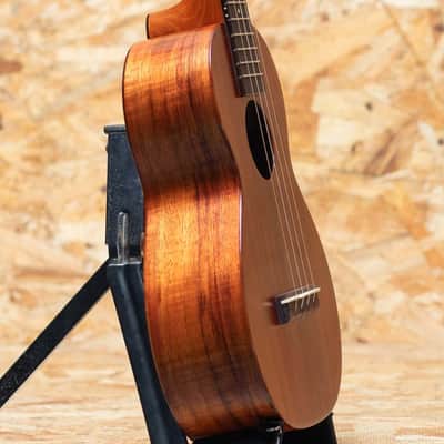 Kamaka HF-2 Concert 2023 image 4