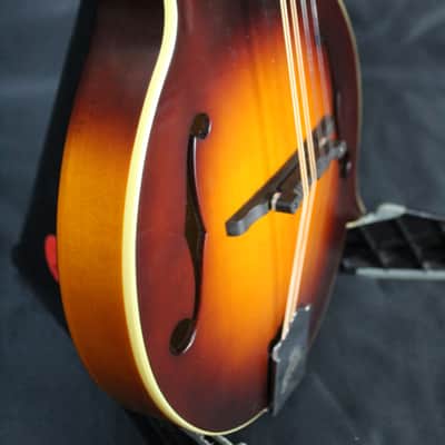 The Loar LM-590-MS  All Solid F-Style Mandolin NEW! FREE SHIPPING! w/ Gigbag image 3