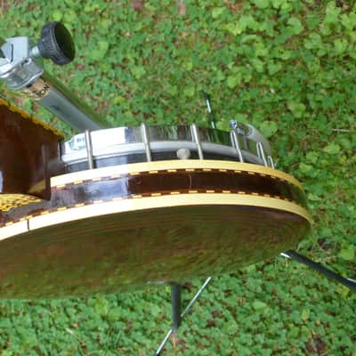 Jany tenor banjo image 8