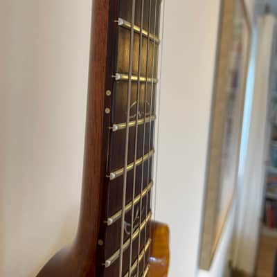 PRS Al Di Meola Signature Prism 2009 - 2014 - Prism image 22