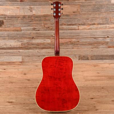 Gibson Dove Sunburst 1968 image 5