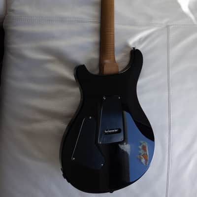 PRS Custom 24 Floyd Wood Library image 6