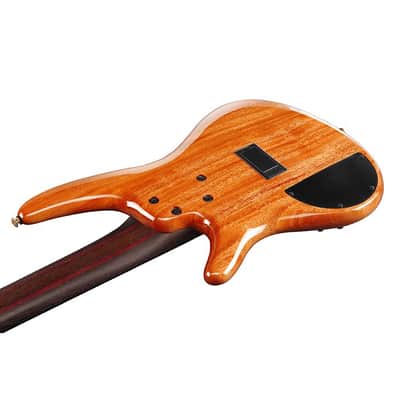 Ibanez Premium SR1605D 5-String Bass Guitar - Autumn Sunset Sky image 8