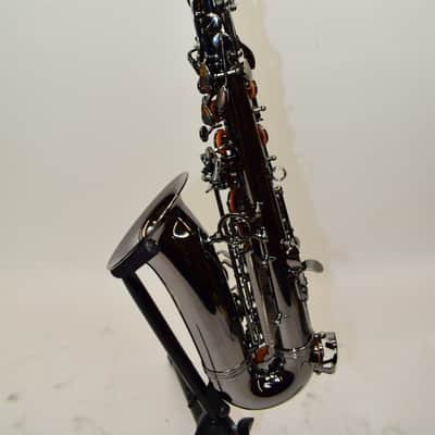 Cannonball A4 Big Bell Stone Series Standard Alto Saxophone, Polished Black Nickel w/ Case image 4