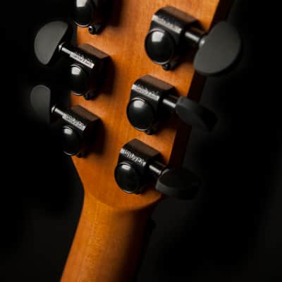 Washburn WCG66SCE Comfort Deluxe Series Solid Cedar Top Spalted 6-String Acoustic-Electric Guitar image 9