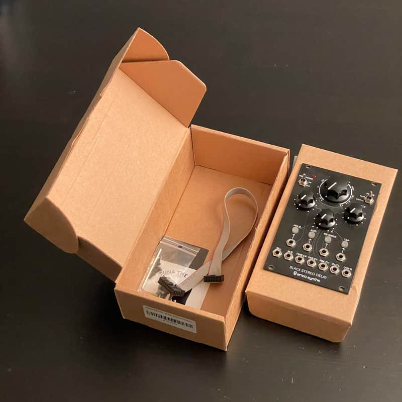Erica Synths Black Stereo Delay