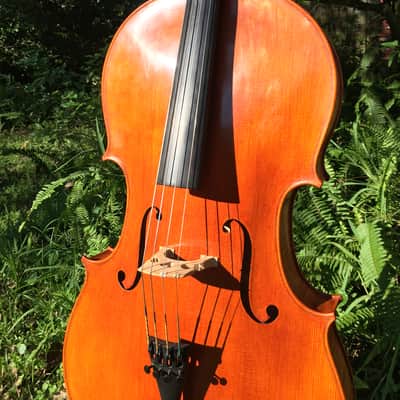 Tenor Violin (half-size cello tuned GDAE) image 2
