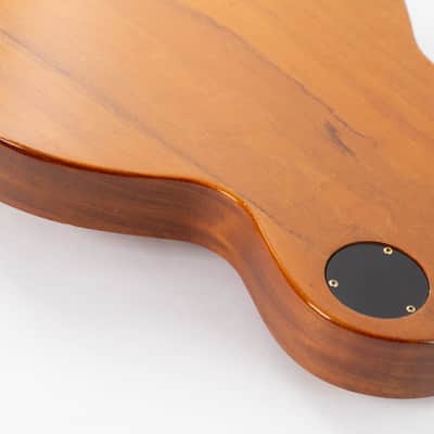 Gibson Les Paul Smartwood Studio 2003 Muir Natural image 22