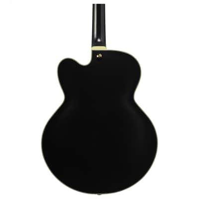 Ibanez PM3C BKL Pat Metheny image 2