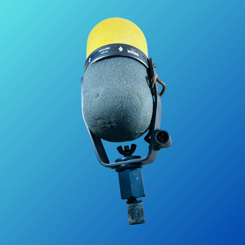 Shure SM5B image 1