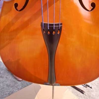 Samuel Eastman VB80 1/4 size acoustic bass 2013 amber image 4