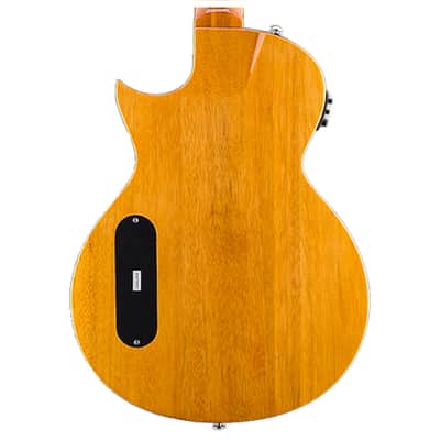 ESP LTD TL-6N Nylon 6-String Acoustic Guitar - Natural Bild 7