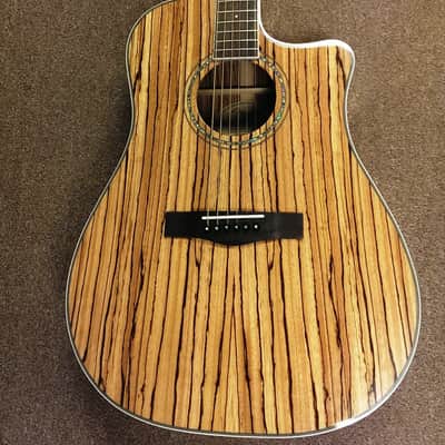 Fender CD-220CE All Zebrano 6-string Acoustic-Electric Guitar, Mahogany, Fishman image 1