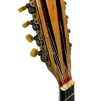 Gelas Type Double-Top ConcertMandolin (J. Rowies Label) 1927 image 14