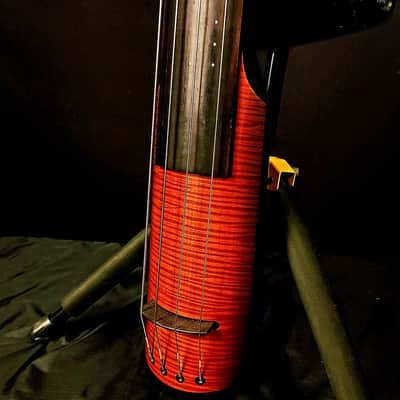 NS Design NXT4 Double Bass image 7