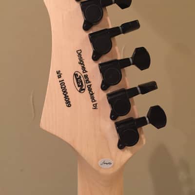 Firefly FFTH Thinline Tele Style Semi Hollow Body Guitar 2020 Satin Black image 17