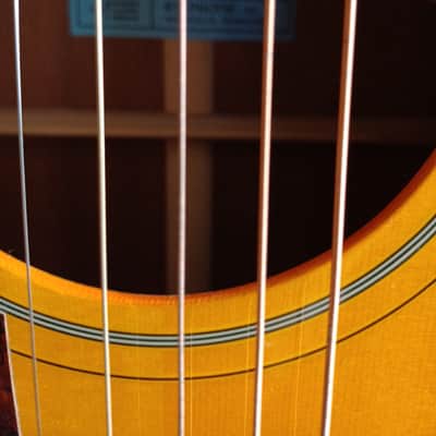 LEFT HANDED Epiphone Inspired by 1964 Texan 2014 image 2