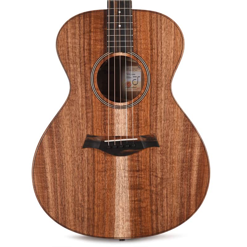 Taylor JCSM-5 Jacob Collier Signature image 2