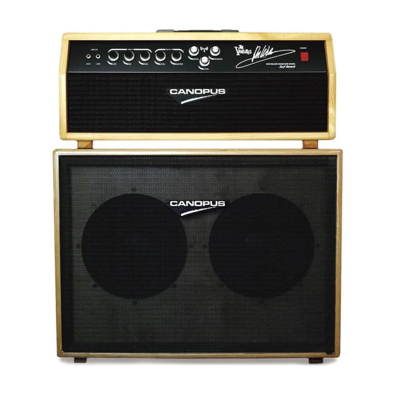 USED by Don Wilson himself on Japan tour. Signature amp with case for sub. image 1
