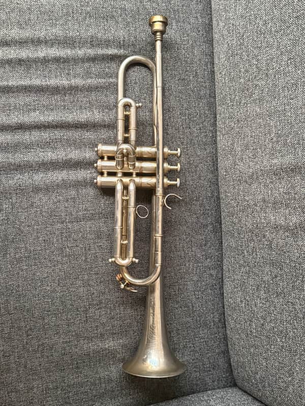 Dolnet Mastertone de luxe 1940-1960 - Silver image 1