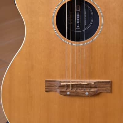 Line 6 Variax Acoustic 300 Series image 8