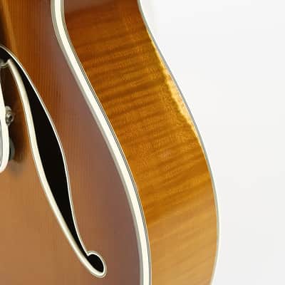 D'Aquisto New Yorker Special Owned by George Benson image 11