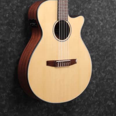 Ibanez - AEG50NNT - EL AC GTR image 5