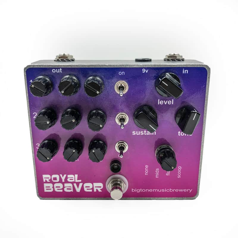 Big Tone Music Brewery Royal Beaver Owned by J Mascis of Dinosaur Jr. image 1