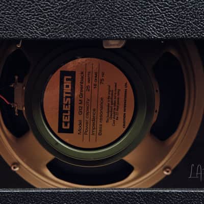 Colby Amplification El Pico AC55 1x12 Combo Amplifier - Great 16 Watt Combo! image 2