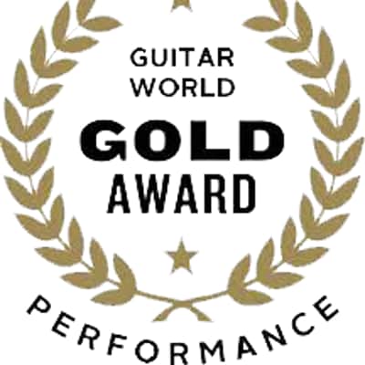 Lâg Guitars THV10DCE | Acoustic Dreadnaught w/ Smart Technology. New with Full Warranty! image 19