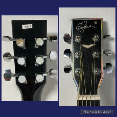 2008 Esteban Celestial Night Limited Edition Acoustic/Electric Guitar image 4