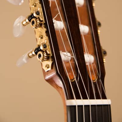 José Ramírez Guitarra del Tiempo Cedar Top & Neck 6-String Classical Acoustic Guitar w/Hard Case image 5
