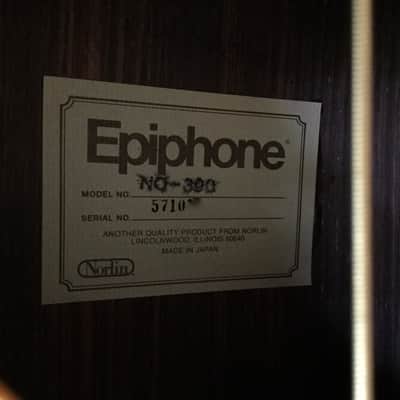 Epiphone Norlin NO-390 Acoustic Guitar with Hard Shell Case image 14