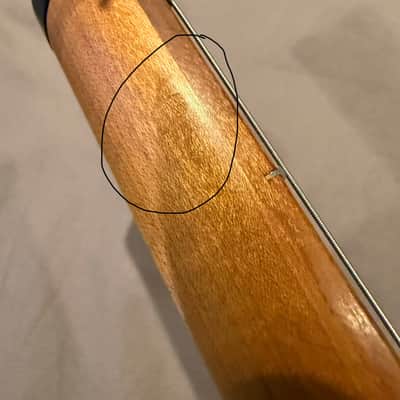 Kiesel Delos Headless 6 image 6