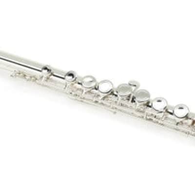 Di Zhao Flutes DZ 301 Student Flute with Offset G image 2