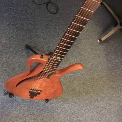 Paradis Avalon Nylon String Electric Polyphonic Guitar image 17