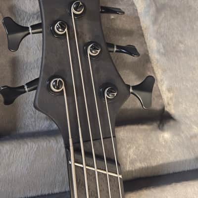 Ibanez BTB805MS-TGF Bass Workshop 2022 - Present - Transparent Gray Flat image 4