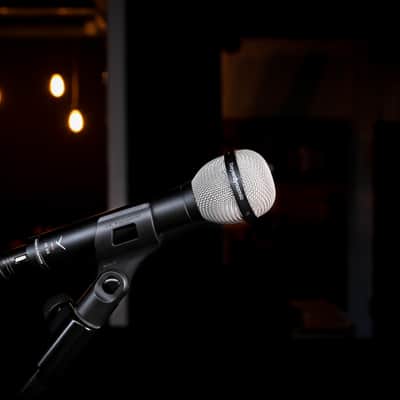 Beyerdynamic M 88 Dynamic Hypercardioid Moving Coil Microphone image 3