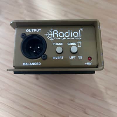 Radial PZ-DI image 3