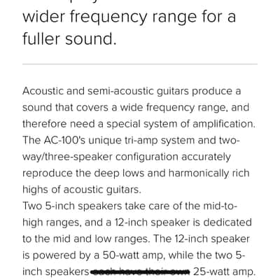 Roland AC-100 Acoustic Chorus 100 Watts image 18
