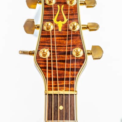 Daion The Year Series '81 Caribou - Brown (BR) - Electric Acoustic Six String image 11