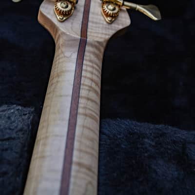 Left Handed Nordstrand Very Custom 5 String Bass image 19