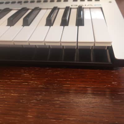 Roland Gaia 2 37-Key 22-Voice Synthesizer 2023 - Present - Silver image 14