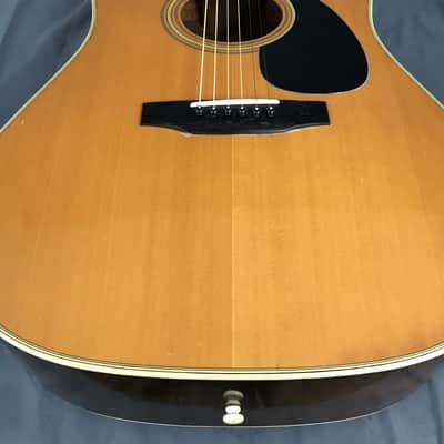 Morris W-20 Spruce / Rosewood image 5