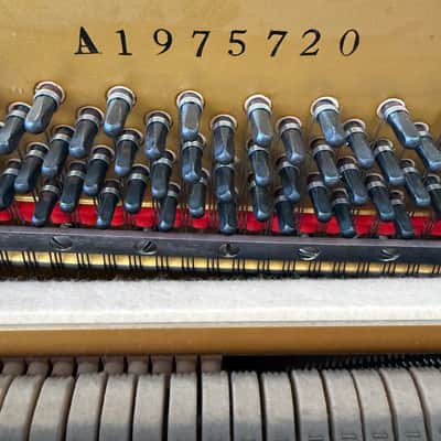 Yamaha M1 Upright Piano - Walnut (1975) image 4