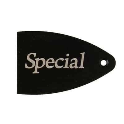 PRS Truss Rod Cover For USA Special Guitars, BLACK ANODIZED ALUMINUM