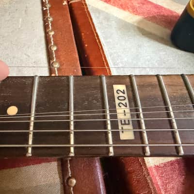 ESP LTD TE-202 with Rosewood Fretboard Distressed 3-Tone Sunburst Electric Guitar image 12