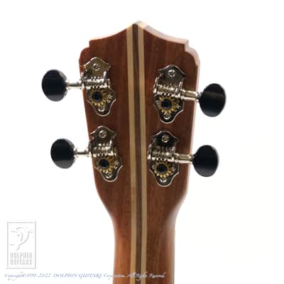 Lo Prinzi Ukuleles AM-T image 11