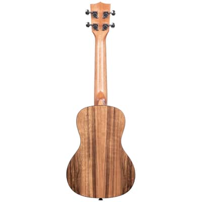 Kala Brand Pacific Walnut Concert Ukulele KA-PWC image 5
