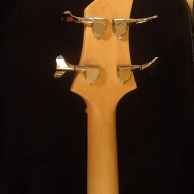 Left Handed 2017 Acrylic Bass guitar image 11